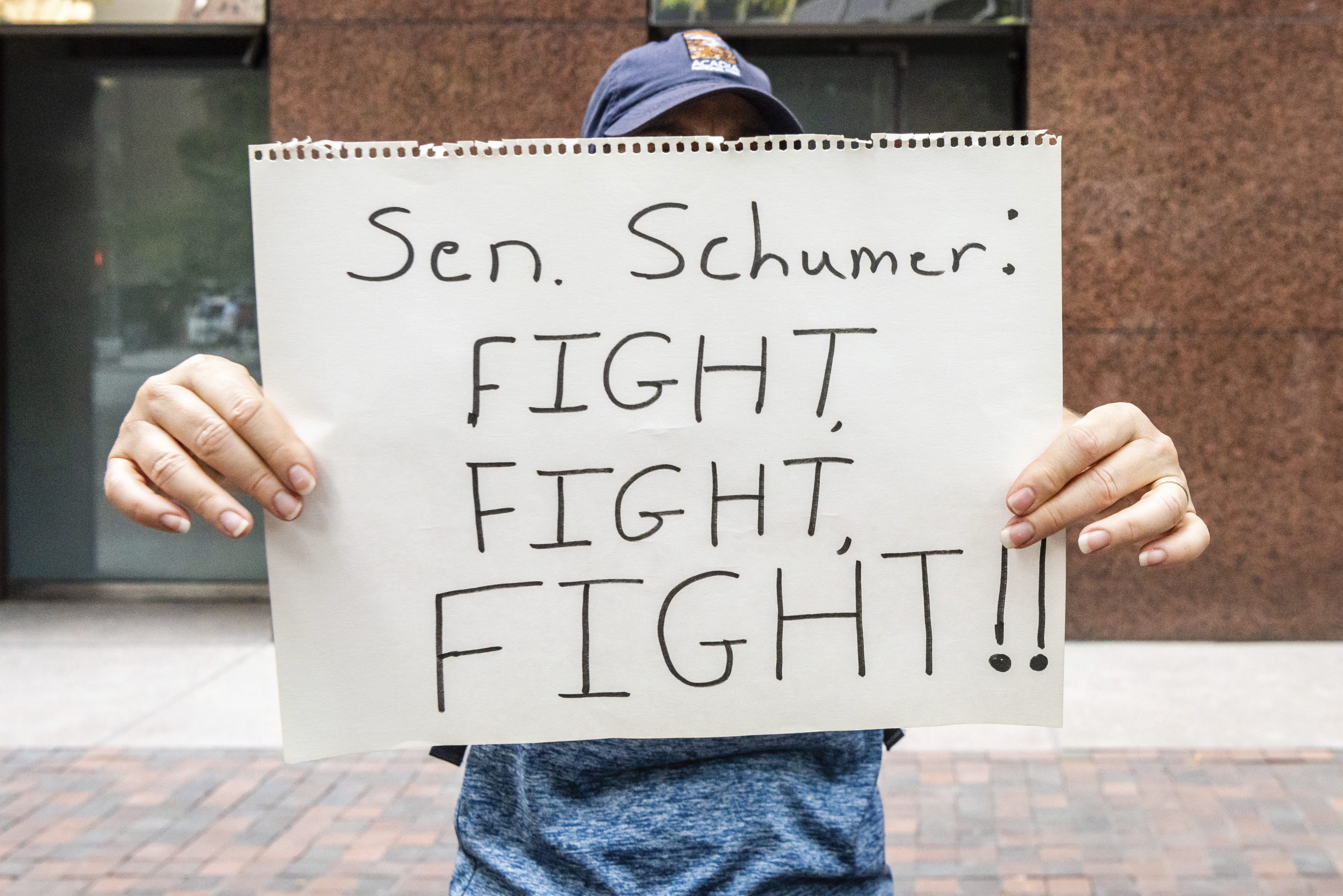 Someone with a blue baseball cap holding a sign saying Senator Schumer fight!